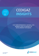 New Report: East Mediterranean Natural Gas Markets-2023: in Search of Development Pathways